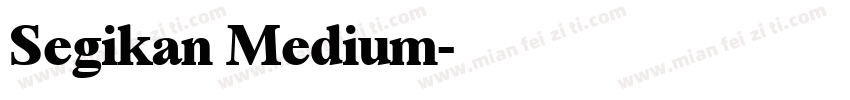 Segikan Medium字体转换
